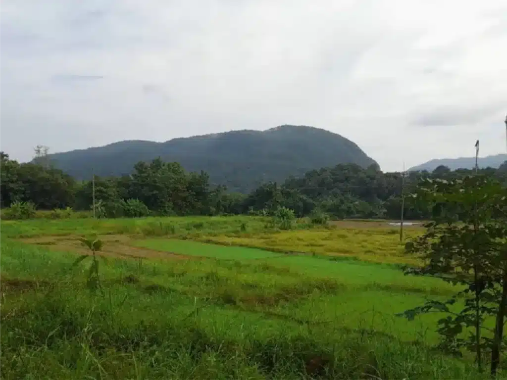ขายที่ดิน พื้นที่รวม 18-3-5 ไร่ แม่ฮ่องสอน รูปที่ 2