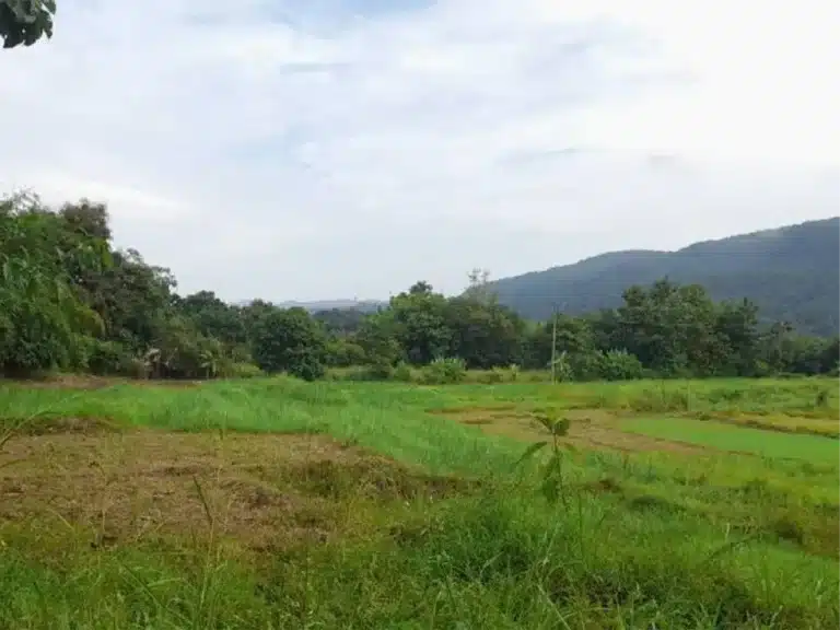 ขายที่ดิน พื้นที่รวม 18-3-5 ไร่ แม่ฮ่องสอน รูปที่ 3