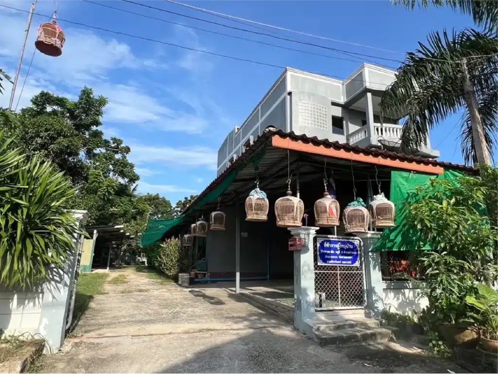บ้านเดี่ยวตึก 3 ชั้น จะนะ สงขลา รูปที่ 3