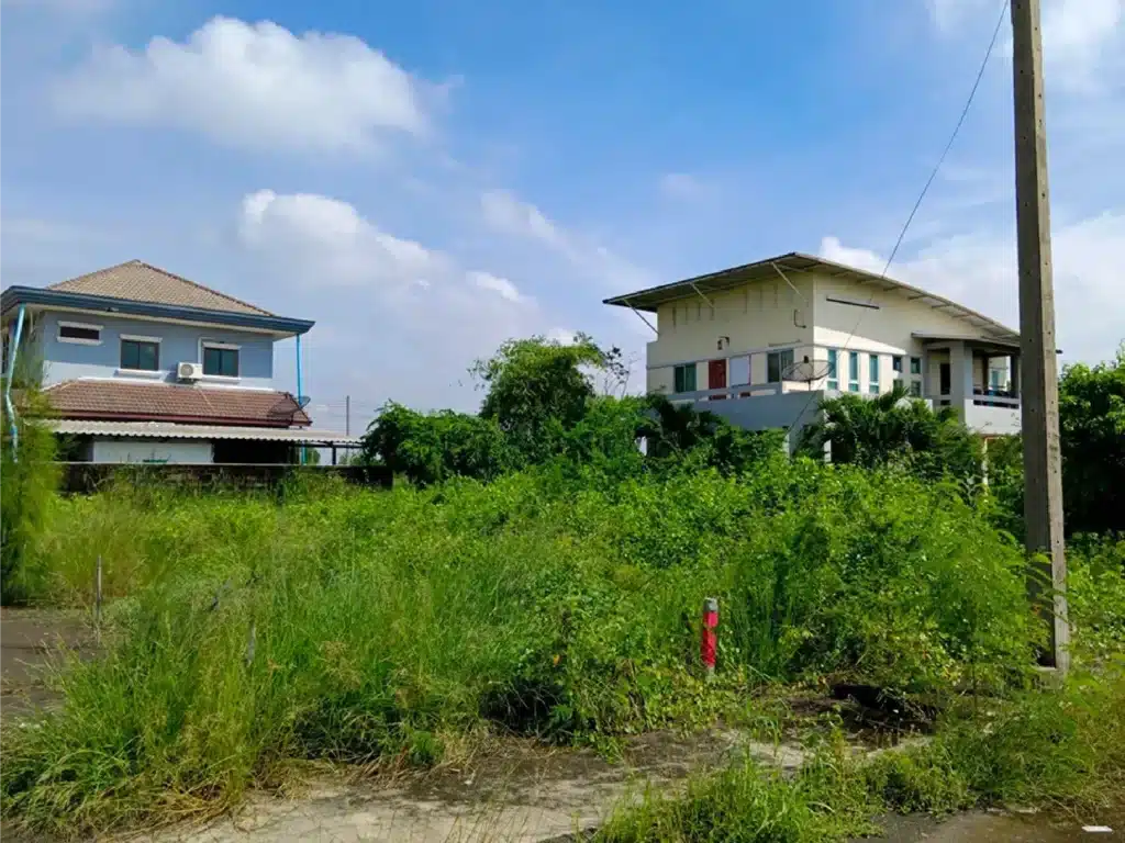 ขายที่ดิน 1 งาน บางหญ้าแพรก สมุทรสาคร รูปที่ 2