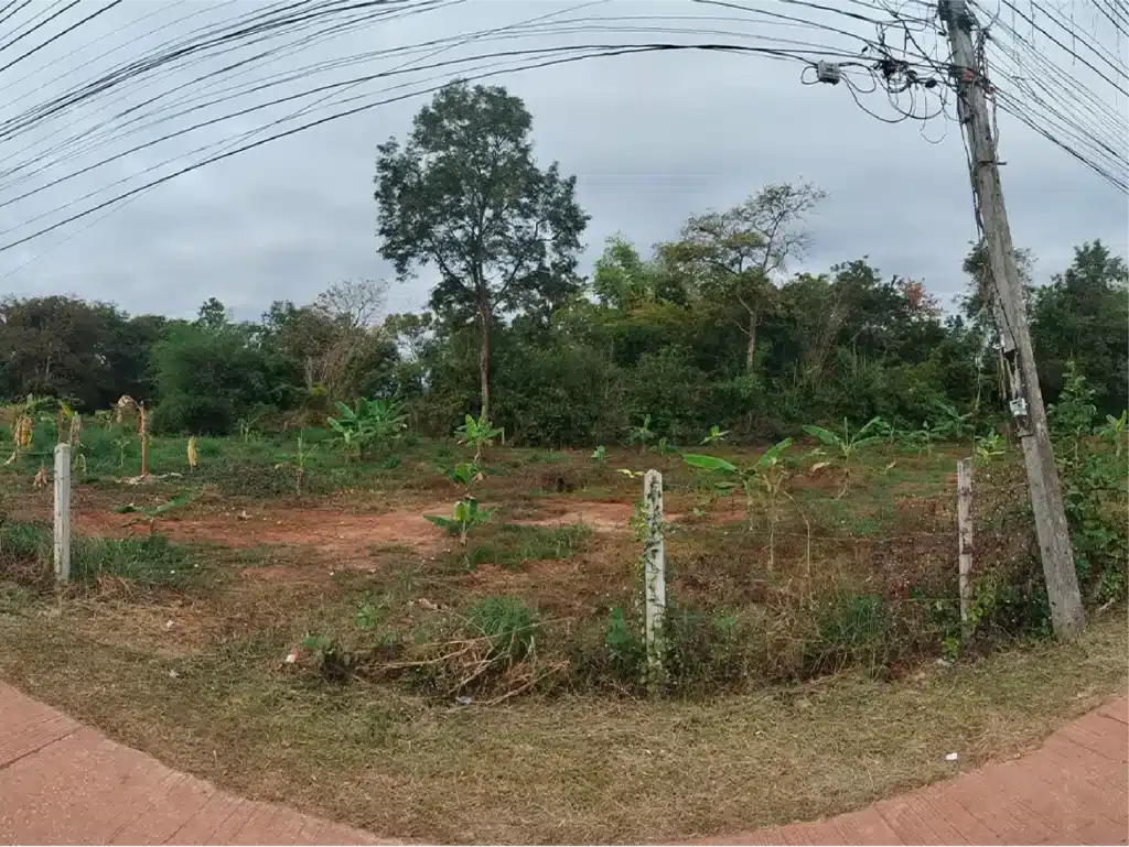ขายที่ดิน 2-0-0.9  ไร่ อุดรธานี รูปที่ 5