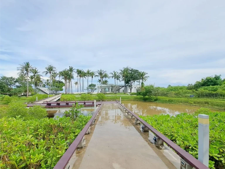 OCAS Hua Hin Occasion Never Ends (คอนโด โอกาส หัวหิน) รูปที่ 11