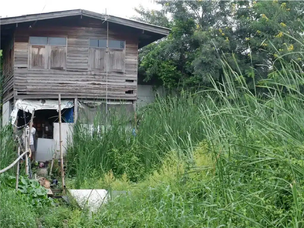 ขายที่ดิน 50 ตร.ว. ดอนเมือง กรุงเทพมหานคร รูปที่ 2