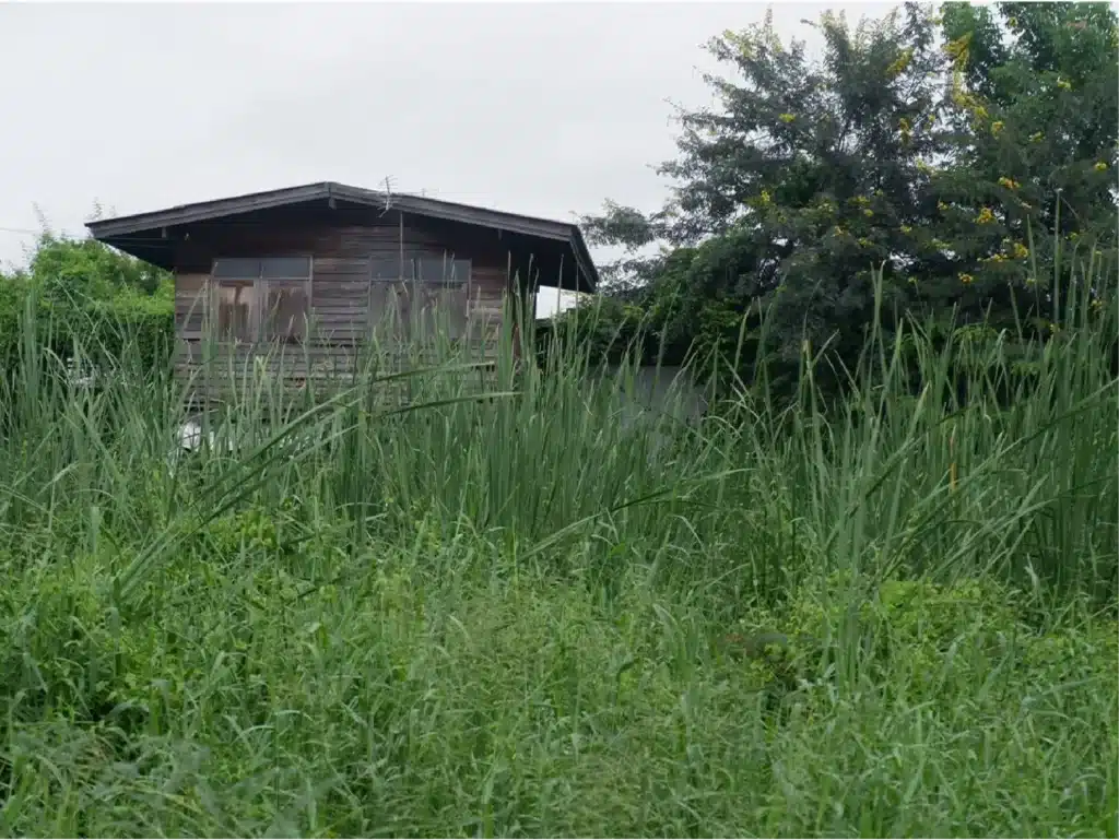 ขายที่ดิน 50 ตร.ว. ดอนเมือง กรุงเทพมหานคร รูปที่ 3