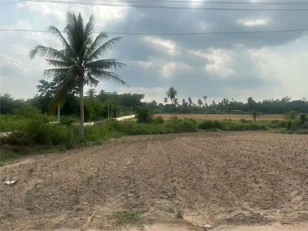ขายที่ดิน 20 ไร่ ศรีราชา ชลบุรี รูปที่ 9