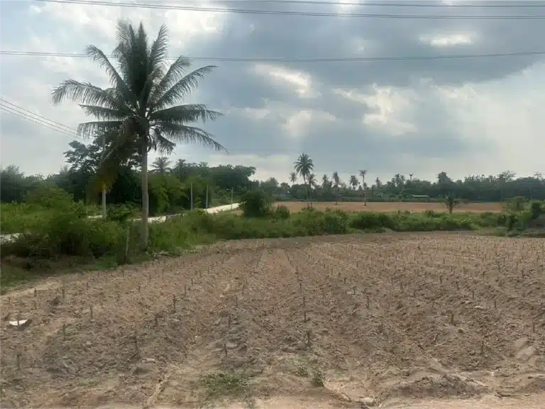 ขายที่ดิน 20 ไร่ ศรีราชา ชลบุรี รูปที่ 9