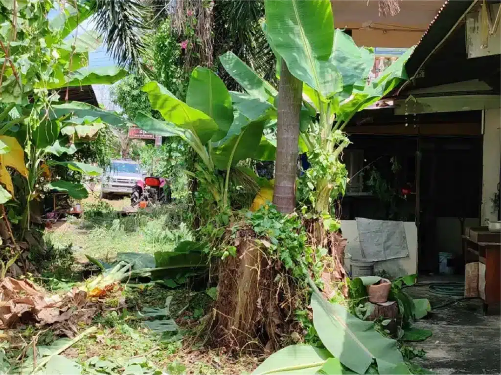 ขายบ้านพร้อมที่ดิน 184 ตร.ว. สุโขทัย รูปที่ 35