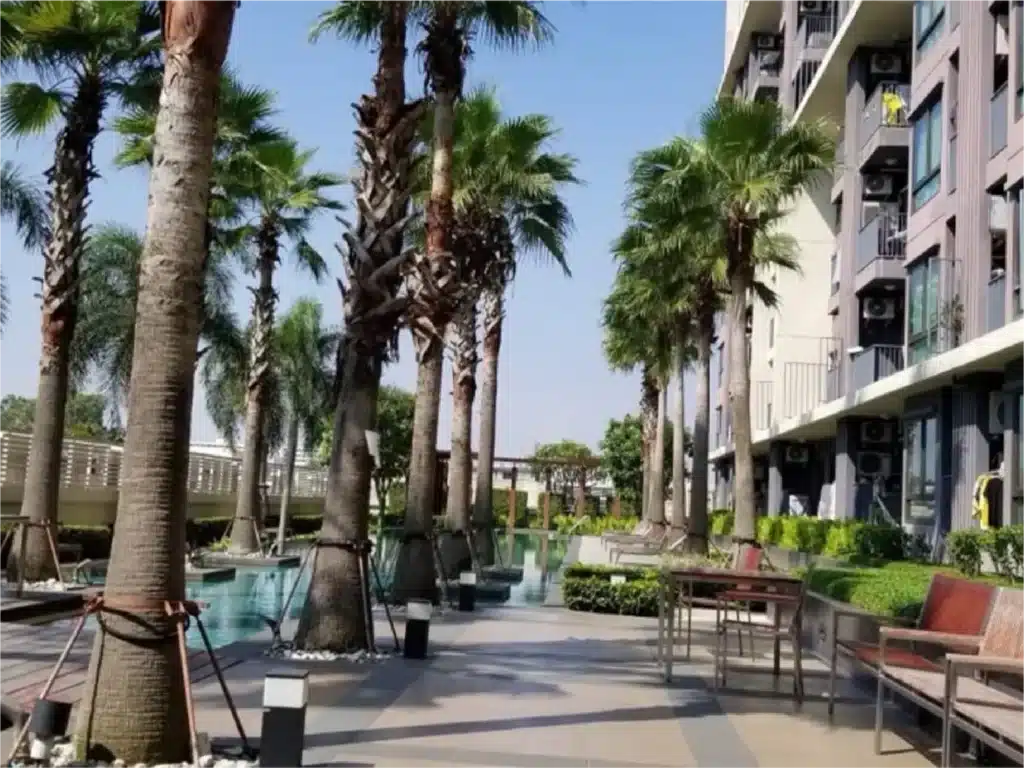 Casa Condo Asoke – Dindaeng  (คาซ่า คอนโด อโศก-ดินแดง) รูปที่ 5