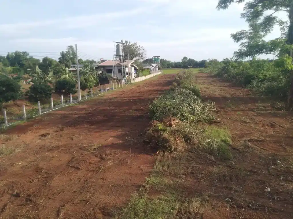 ขายที่ดิน 2 ไร่ สกลนคร รูปที่ 2