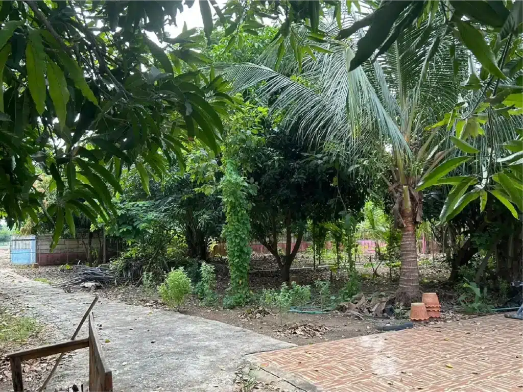 ขายบ้านเดี่ยว พร้อมที่ดิน 2 งาน 18.9 ตร.ว. โพทะเล พิจิตร รูปที่ 5