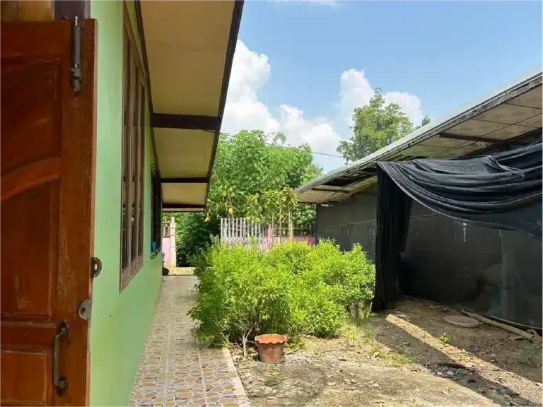 ขายบ้านเดี่ยว พร้อมที่ดิน 2 งาน 18.9 ตร.ว. โพทะเล พิจิตร รูปที่ 7