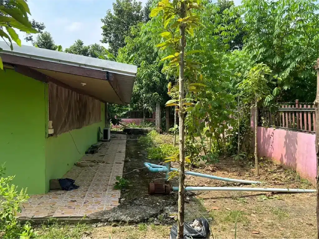 ขายบ้านเดี่ยว พร้อมที่ดิน 2 งาน 18.9 ตร.ว. โพทะเล พิจิตร รูปที่ 23
