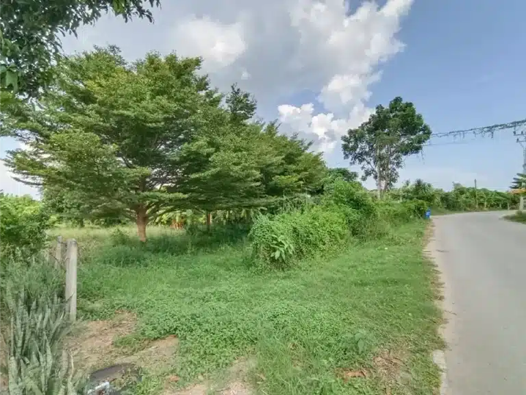 ขายที่ดิน 1-2-46 ไร่ ท่ายาง เพชรบุรี รูปที่ 3