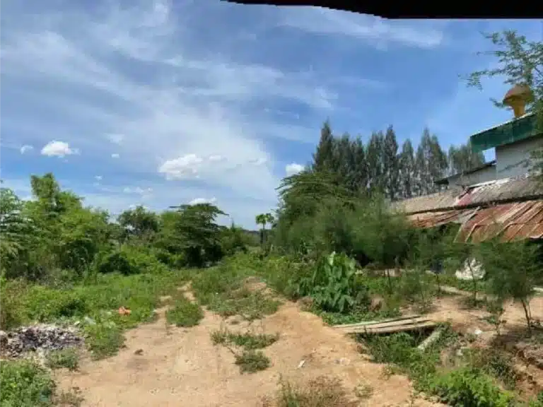 ขายที่ดิน 4 ไร่ นครปฐม กำแพงแสน รูปที่ 3