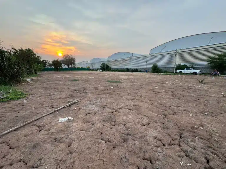 ขายที่ดิน 1-0-92.4 ไร่ คลองหลวง ปทุมธานี รูปที่ 5