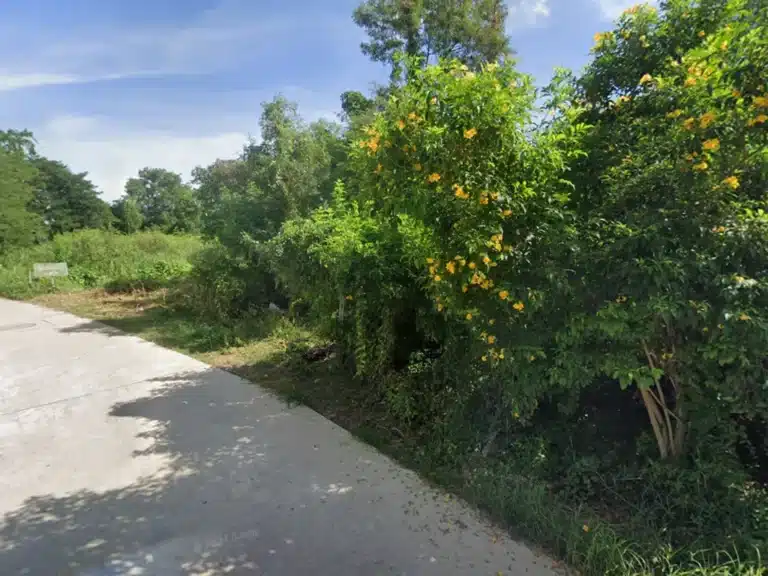 ขายที่ดิน 55 ตร.ว. เมืองนครสวรรค์ รูปที่ 3