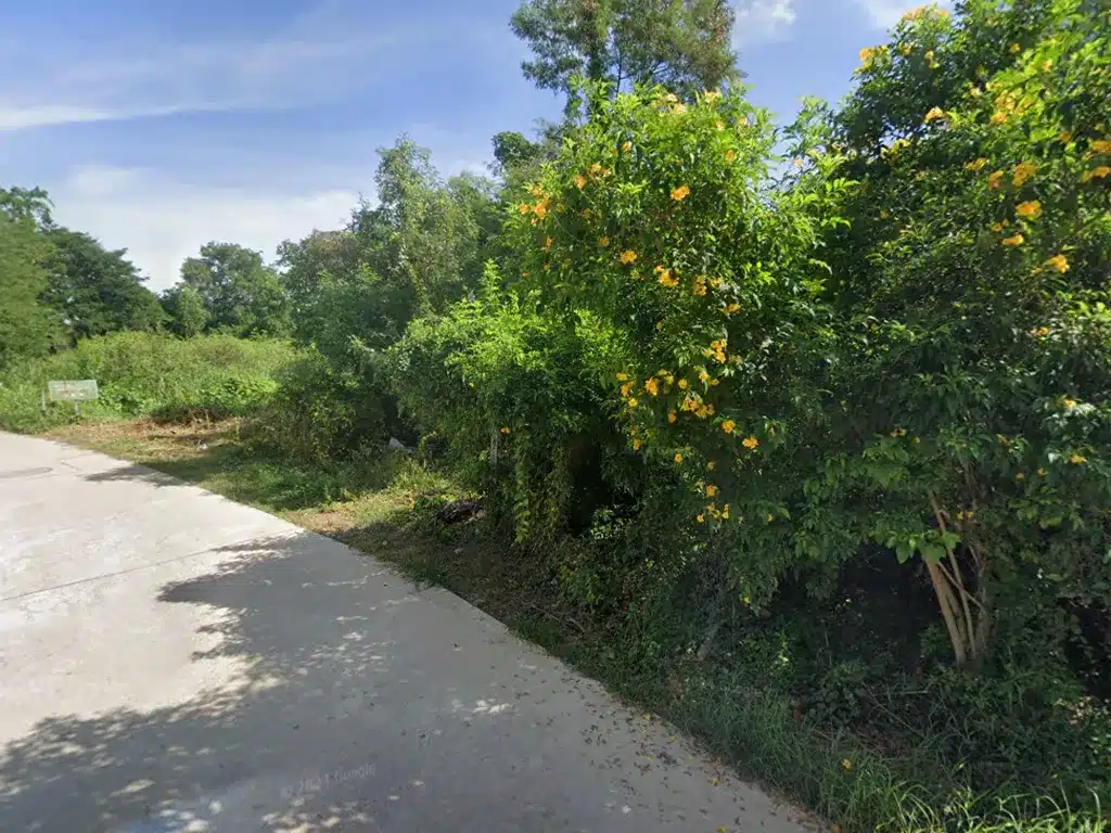 ขายที่ดิน 55 ตร.ว. เมืองนครสวรรค์ รูปที่ 3