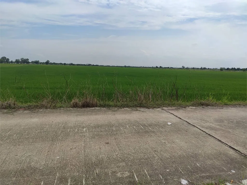 ขายที่ดิน 2-0-58 ไร่ บางบ่อ สมุทรปราการ รูปที่ 2