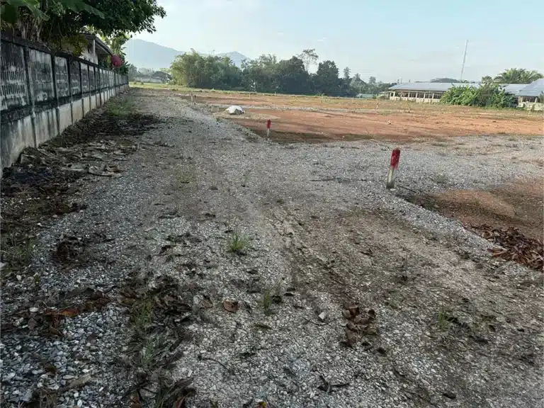ขายที่ดิน 18 แปลง แม่จัน เชียงราย รูปที่ 5