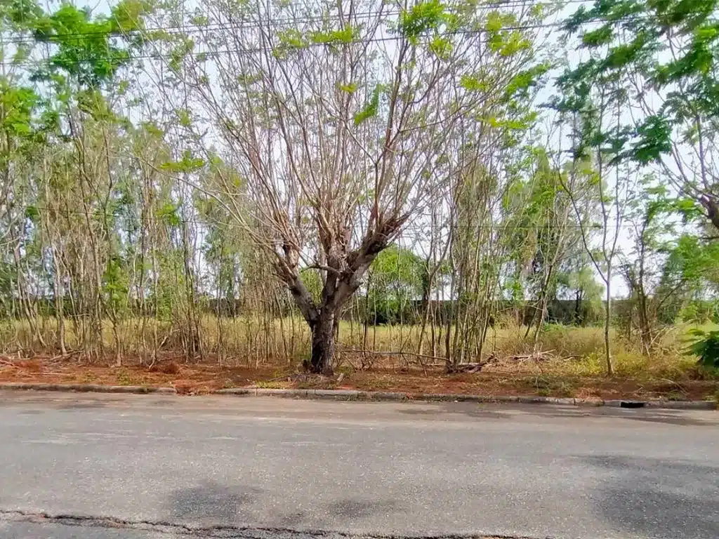 ขายที่ดิน 158.8 ตร.ว. หมู่บ้าน วิจิตราธานี ฉะเชิงเทรา รูปที่ 2