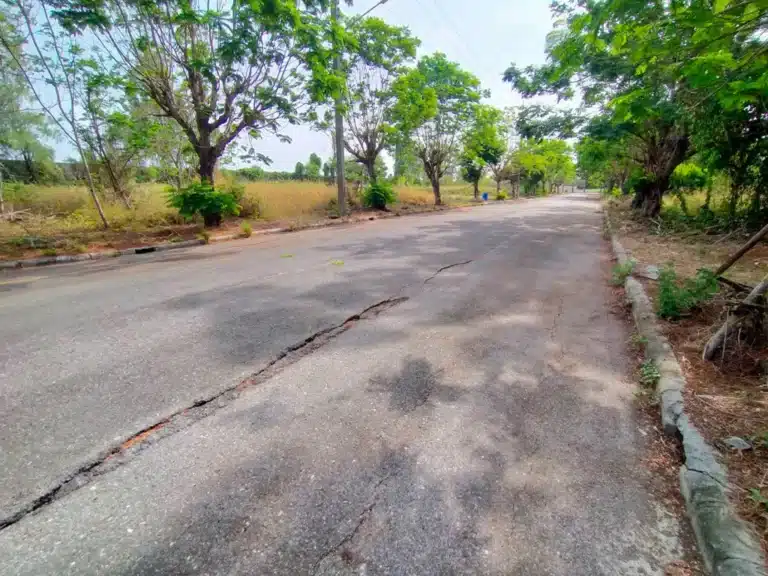 ขายที่ดิน 158.8 ตร.ว. หมู่บ้าน วิจิตราธานี ฉะเชิงเทรา รูปที่ 4