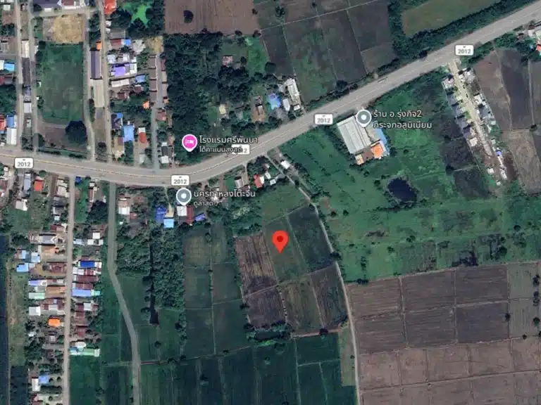 ขายที่ดิน 14-1-12 ไร่ วิเชียรบุรี เพชรบูรณ์ รูปที่ 2