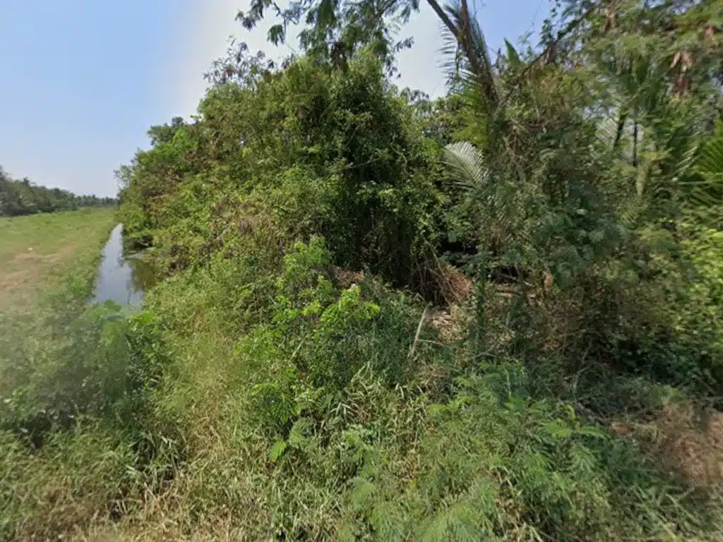 ที่ดิน 2 แปลง 15 ไร่ บ้านแหลม เพชรบุรี รูปที่ 2