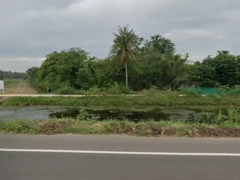 ที่ดิน 2 แปลง 15 ไร่ บ้านแหลม เพชรบุรี รูปที่ 5