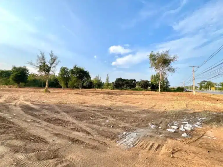 ที่ดิน 8 ไร่ ติดถนนใหญ่ หัวหิน ประจวบ รูปที่ 4